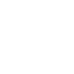 Bisonic