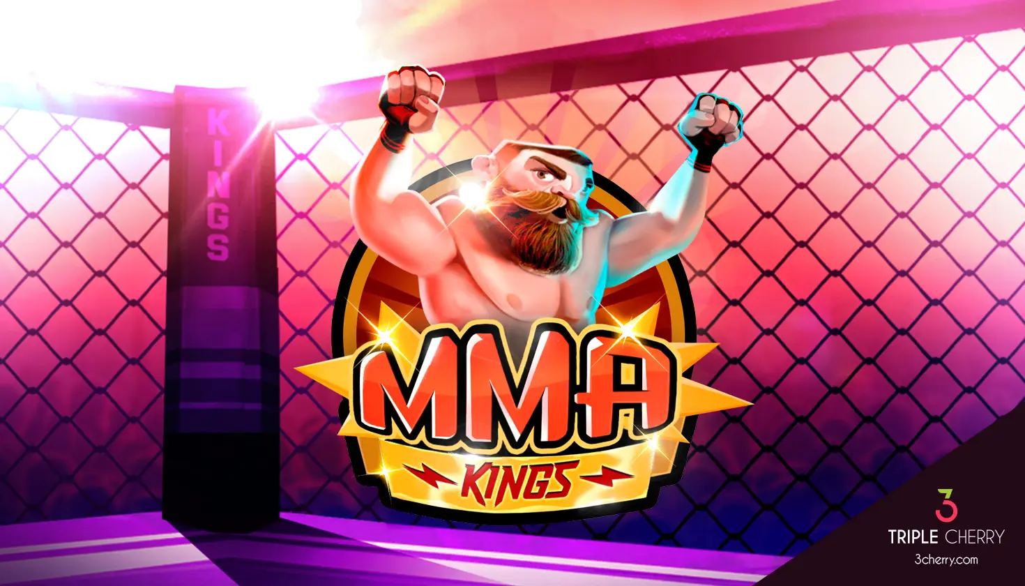 MMA Kings artwork